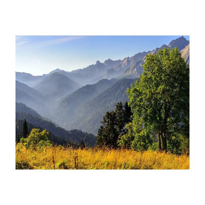 Tablou Canvas Natura, Dimensiunea 100x70 nat576