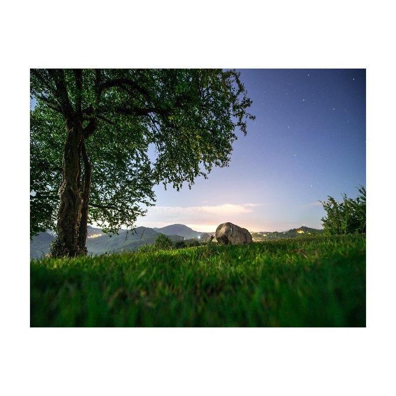 Tablou Canvas Natura, Dimensiunea 60x40 nat588