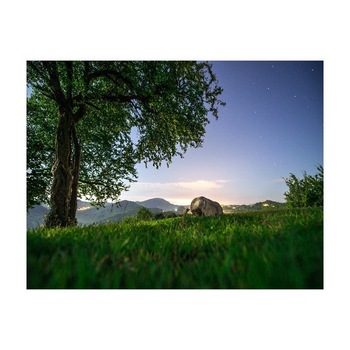 Tablou Canvas Natura, Dimensiunea 60x40 nat588 Tablou Canvas Natura, Dimensiunea 60x40 nat588