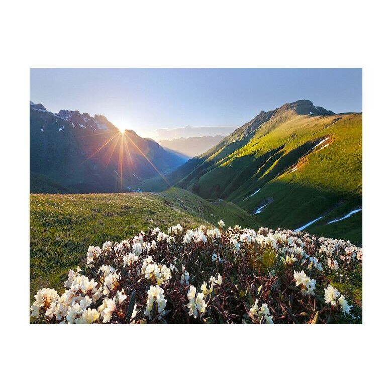 Tablou Canvas Natura, Dimensiunea 100x70 nat487