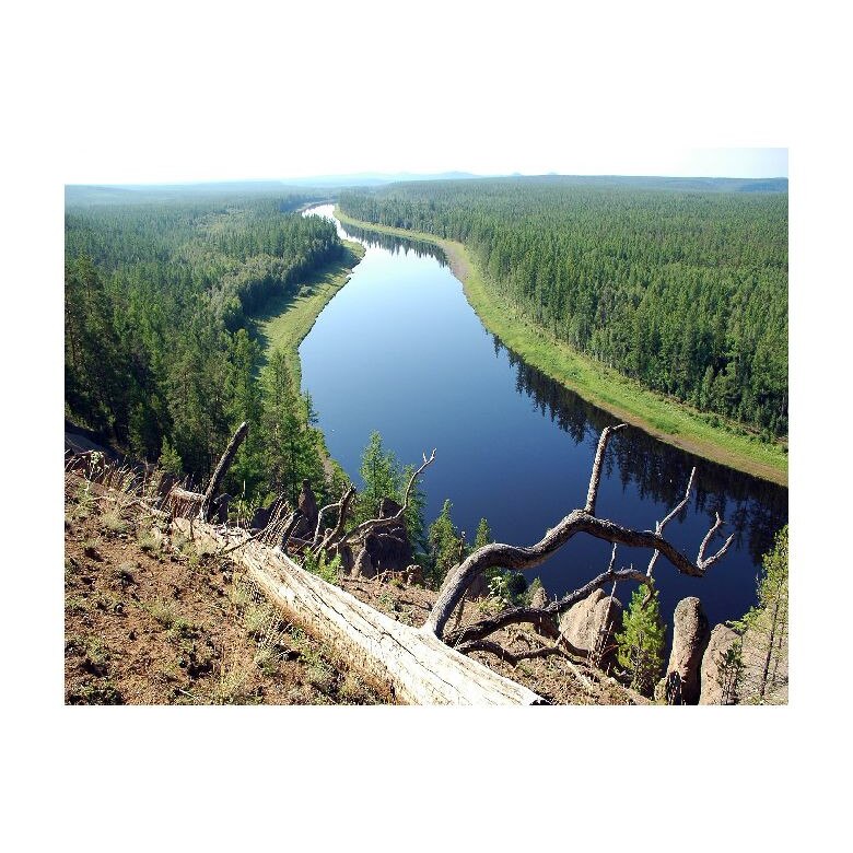 Tablou Canvas Natura, Dimensiunea 100x70 nat477