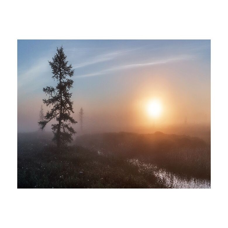 Tablou Canvas Natura, Dimensiunea 100x70 nat566