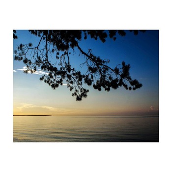 Tablou Canvas Natura, Dimensiunea 100x70 nat584 Tablou Canvas Natura, Dimensiunea 100x70 nat584