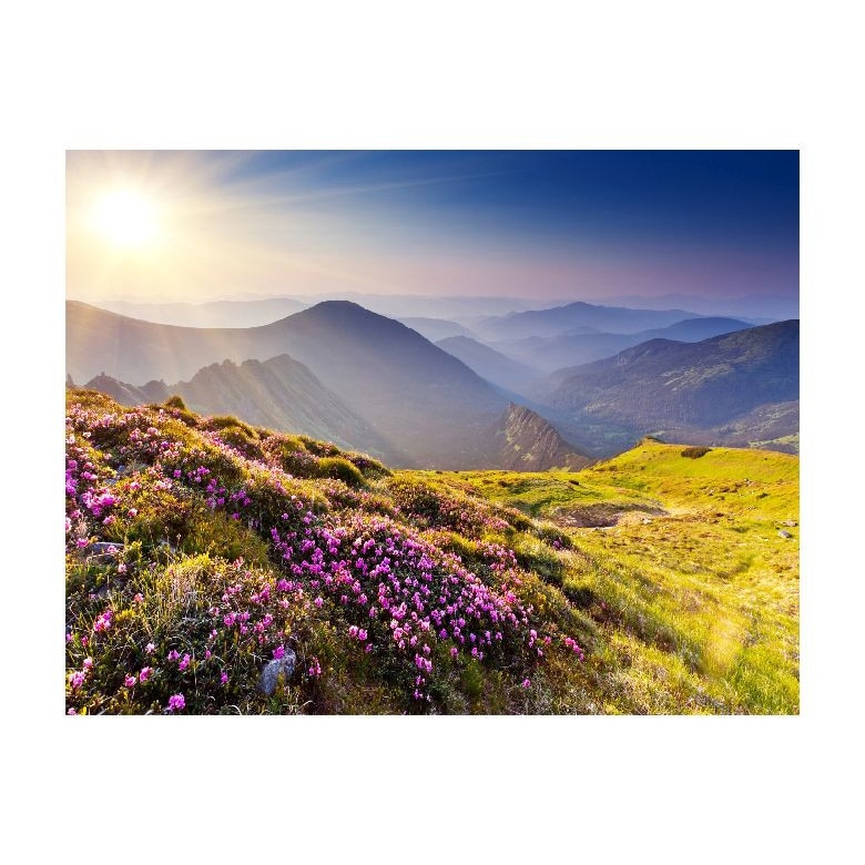 Tablou Canvas Natura, Dimensiunea 100x70 nat462