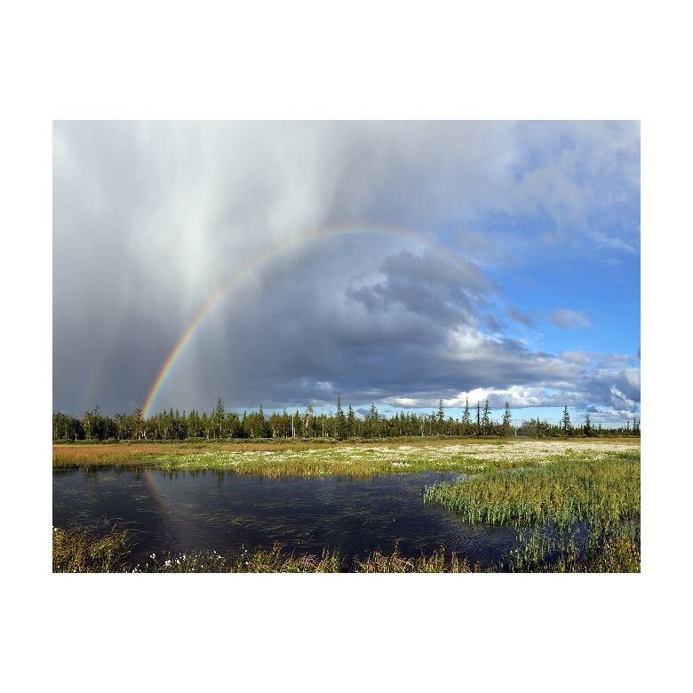 Tablou Canvas Natura, Dimensiunea 100x70 nat482