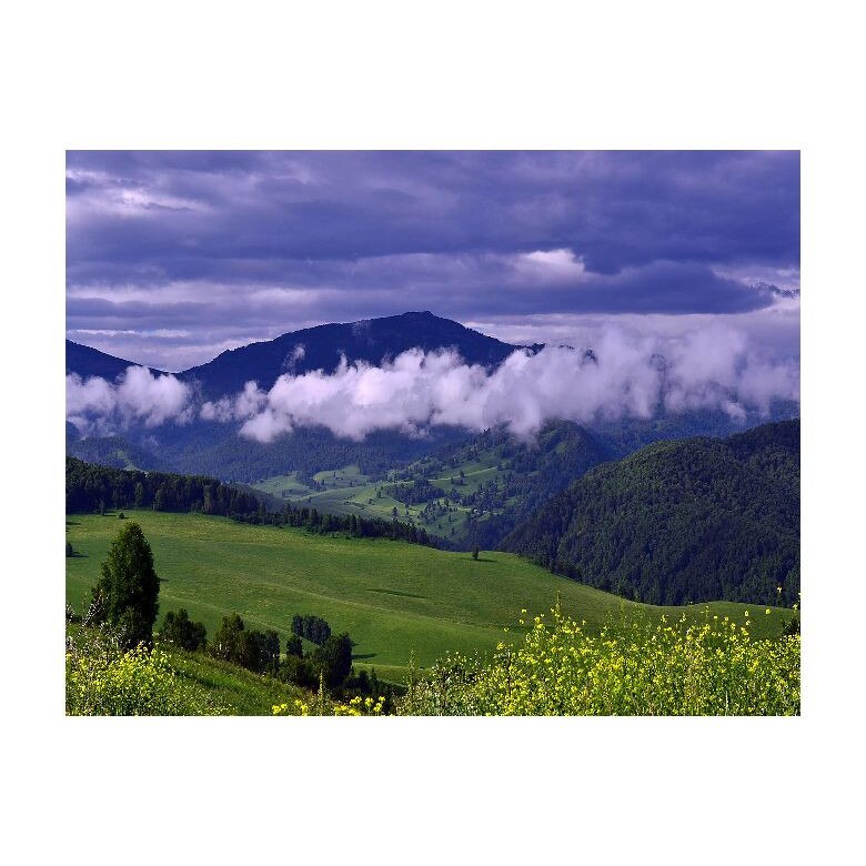 Tablou Canvas Natura, Dimensiunea 100x70 nat524