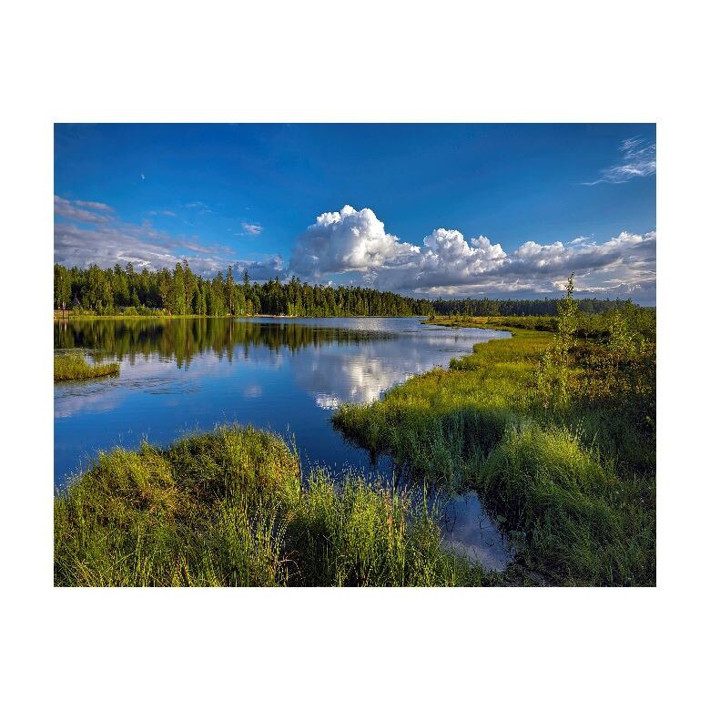 Tablou Canvas Natura, Dimensiunea 100x70 nat595