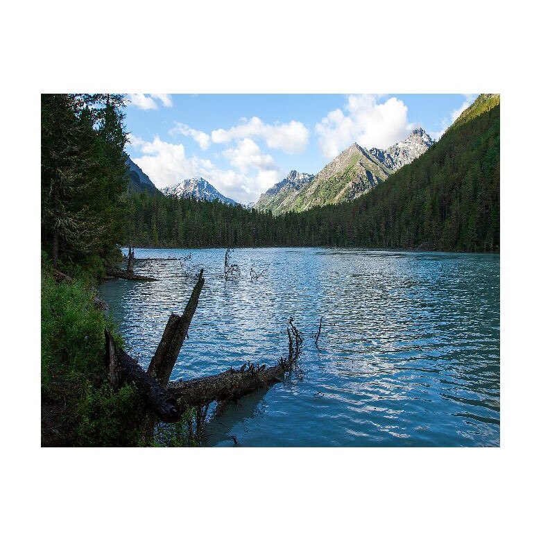 Tablou Canvas Natura, Dimensiunea 100x70 nat456