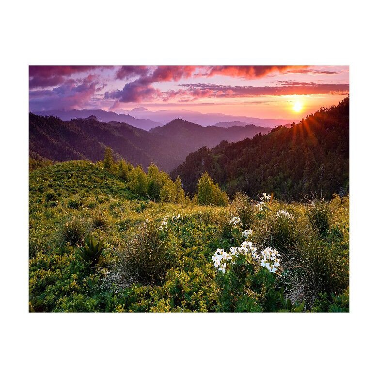 Tablou Canvas Natura, Dimensiunea 100x70 nat455