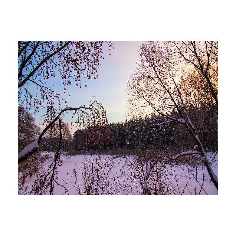 Tablou Canvas Natura, Dimensiunea 100x70 nat565