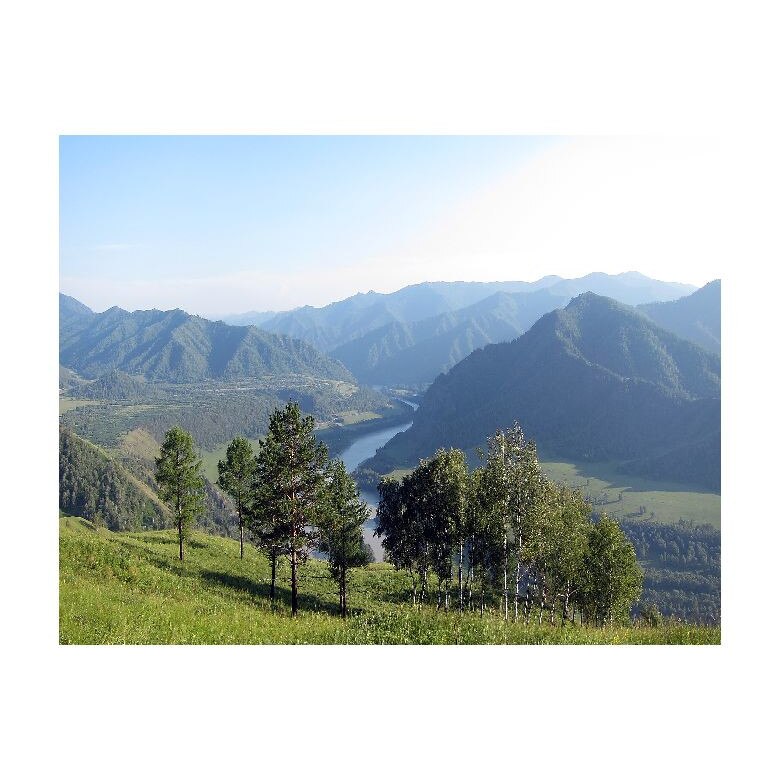 Tablou Canvas Natura, Dimensiunea 100x70 nat512