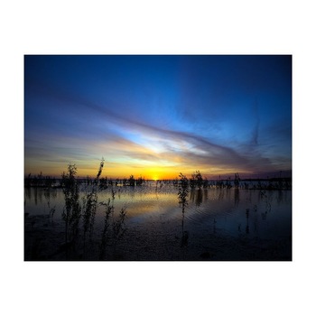 Tablou Canvas Natura, Dimensiunea 100x70 nat551 Tablou Canvas Natura, Dimensiunea 100x70 nat551