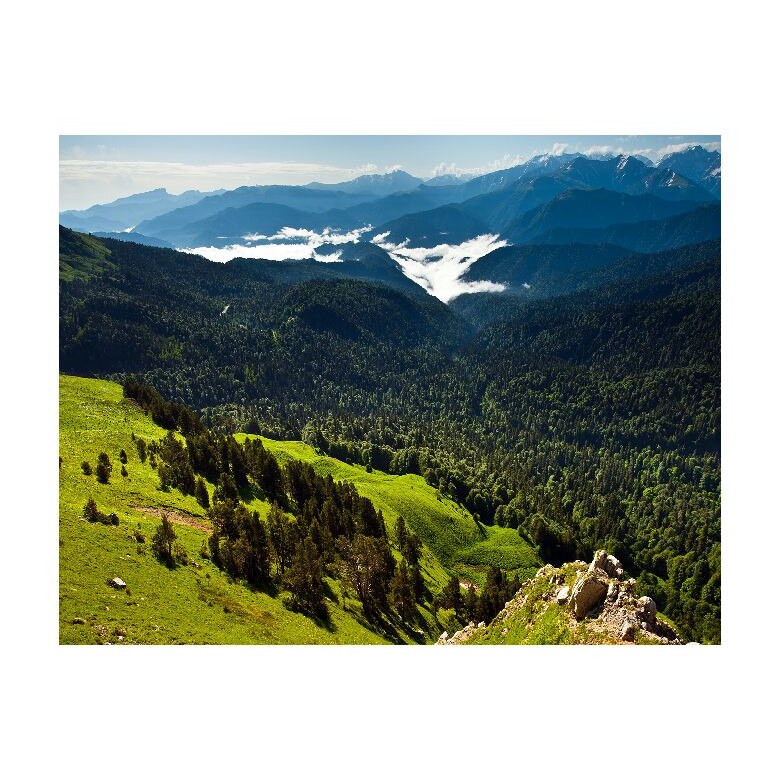 Tablou Canvas Natura, Dimensiunea 100x70 nat514