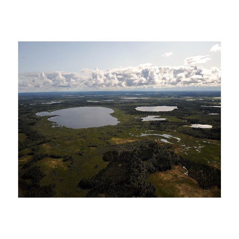 Tablou Canvas Natura, Dimensiunea 100x70 nat483