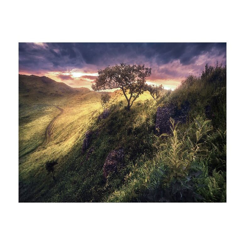 Tablou Canvas Natura, Dimensiunea 100x70 nat472