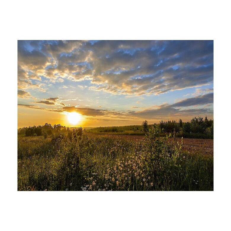 Tablou Canvas Natura, Dimensiunea 100x70 nat526