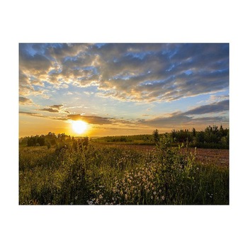 Tablou Canvas Natura, Dimensiunea 100x70 nat526 Tablou Canvas Natura, Dimensiunea 100x70 nat526