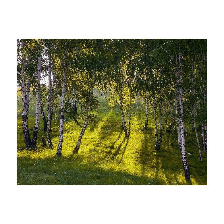 Tablou Canvas Natura, Dimensiunea 100x70 nat457
