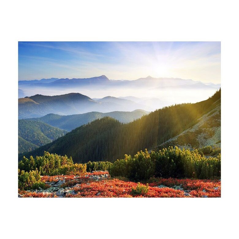 Tablou Canvas Natura, Dimensiunea 100x70 nat495