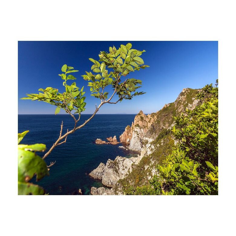 Tablou Canvas Natura, Dimensiunea 100x70 nat548