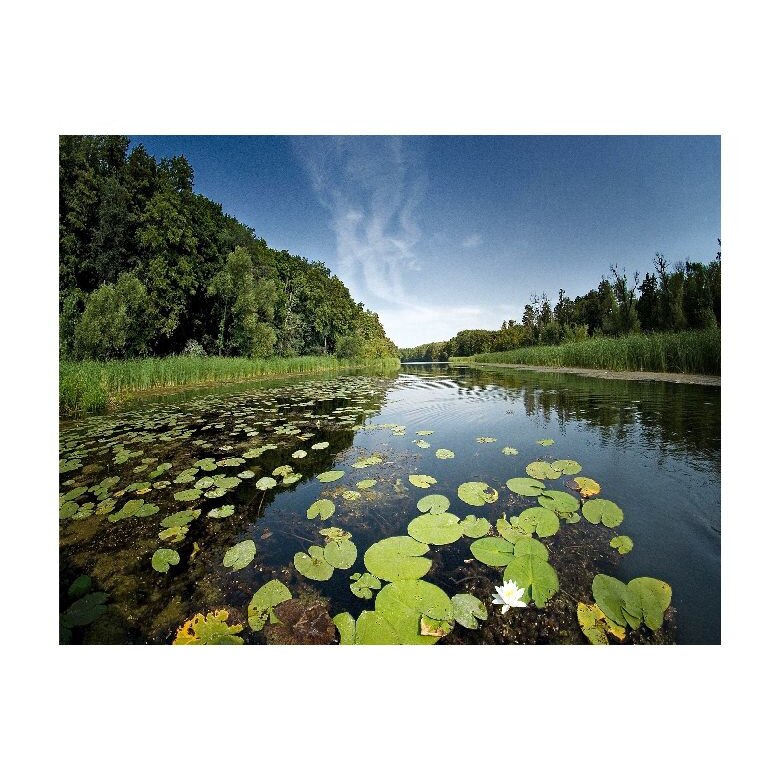 Tablou Canvas Natura, Dimensiunea 100x70 nat515