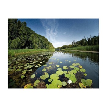 Tablou Canvas Natura, Dimensiunea 100x70 nat515 Tablou Canvas Natura, Dimensiunea 100x70 nat515