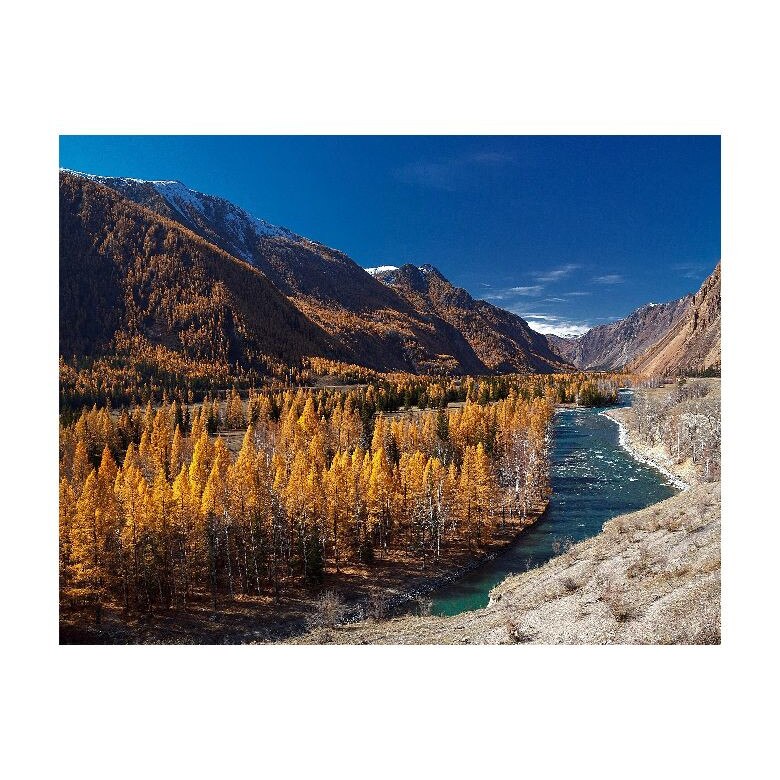 Tablou Canvas Natura, Dimensiunea 100x70 nat458