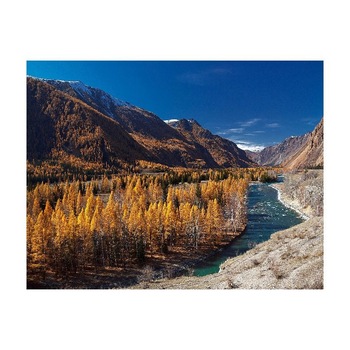 Tablou Canvas Natura, Dimensiunea 100x70 nat458 Tablou Canvas Natura, Dimensiunea 100x70 nat458