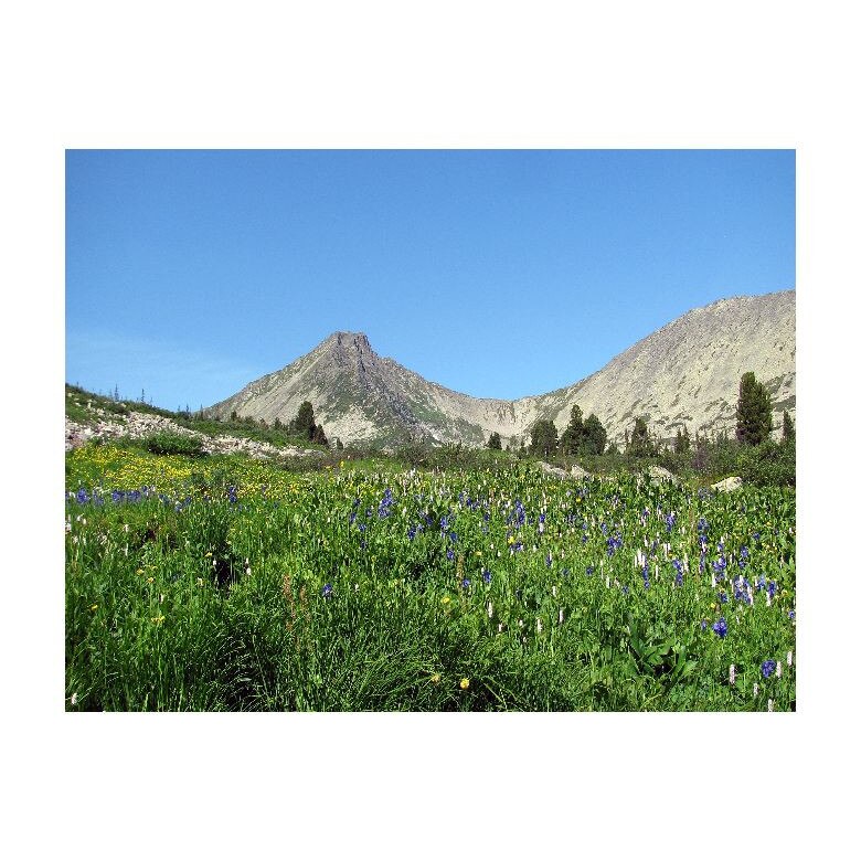 Tablou Canvas Natura, Dimensiunea 100x70 nat501