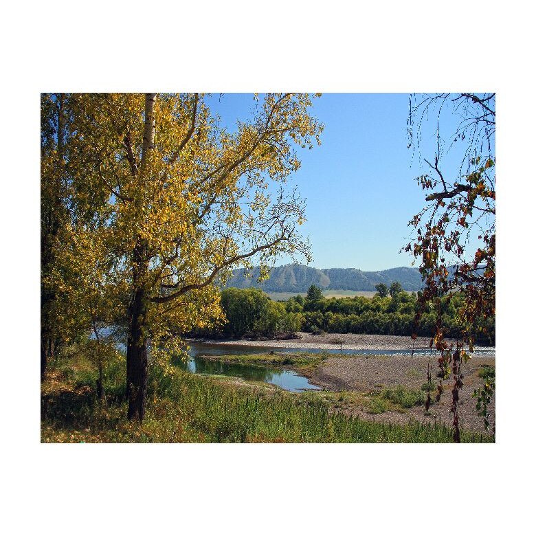 Tablou Canvas Natura, Dimensiunea 100x70 nat500