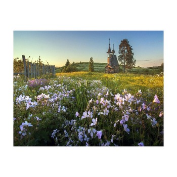 Tablou Canvas Natura, Dimensiunea 100x70 nat516 Tablou Canvas Natura, Dimensiunea 100x70 nat516