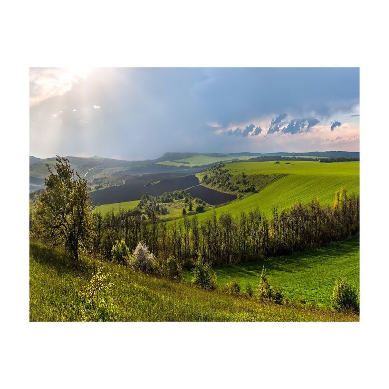 Tablou Canvas Natura, Dimensiunea 100x70 nat587