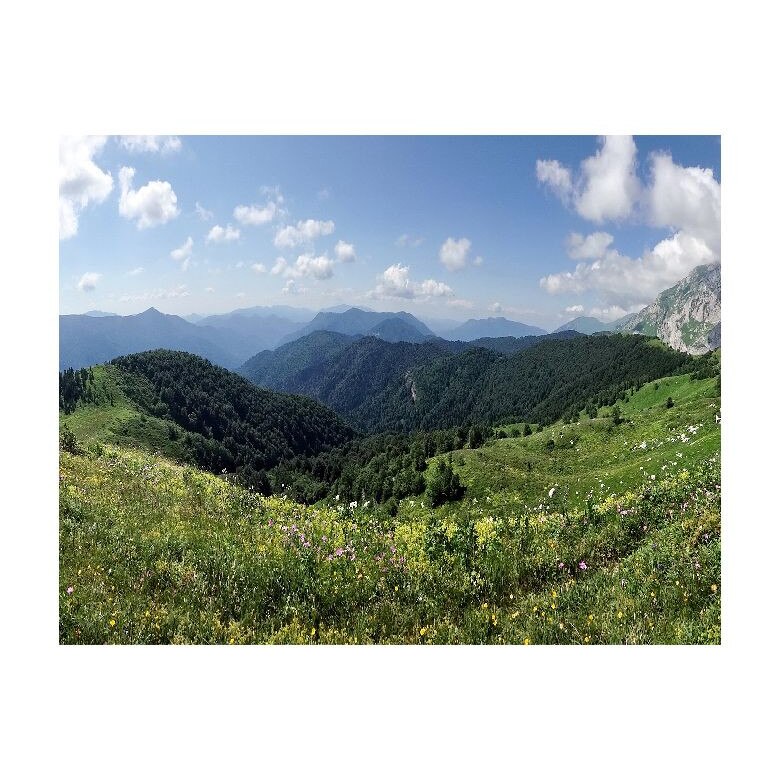 Tablou Canvas Natura, Dimensiunea 100x70 nat534