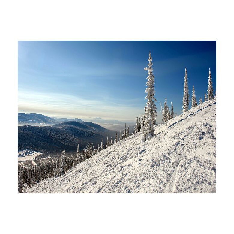 Tablou Canvas Natura, Dimensiunea 100x70 nat554