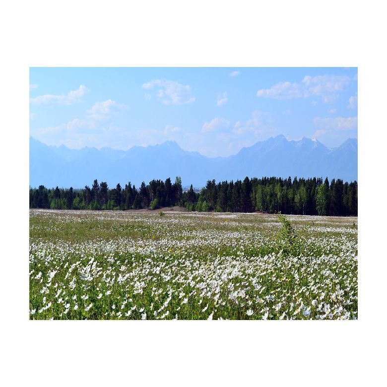 Tablou Canvas Natura, Dimensiunea 100x70 nat530