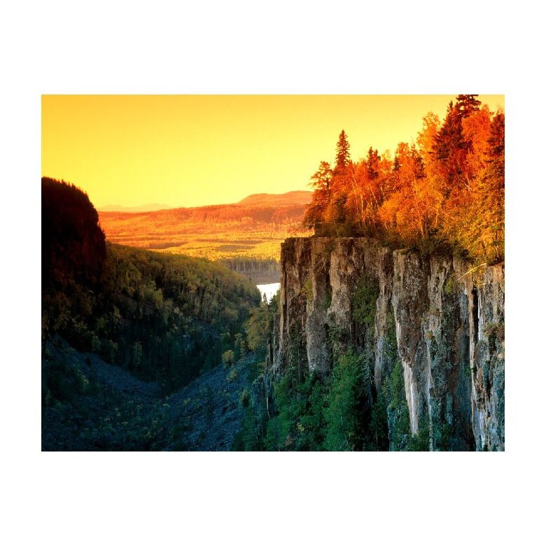 Tablou Canvas Natura, Dimensiunea 100x70 nat731