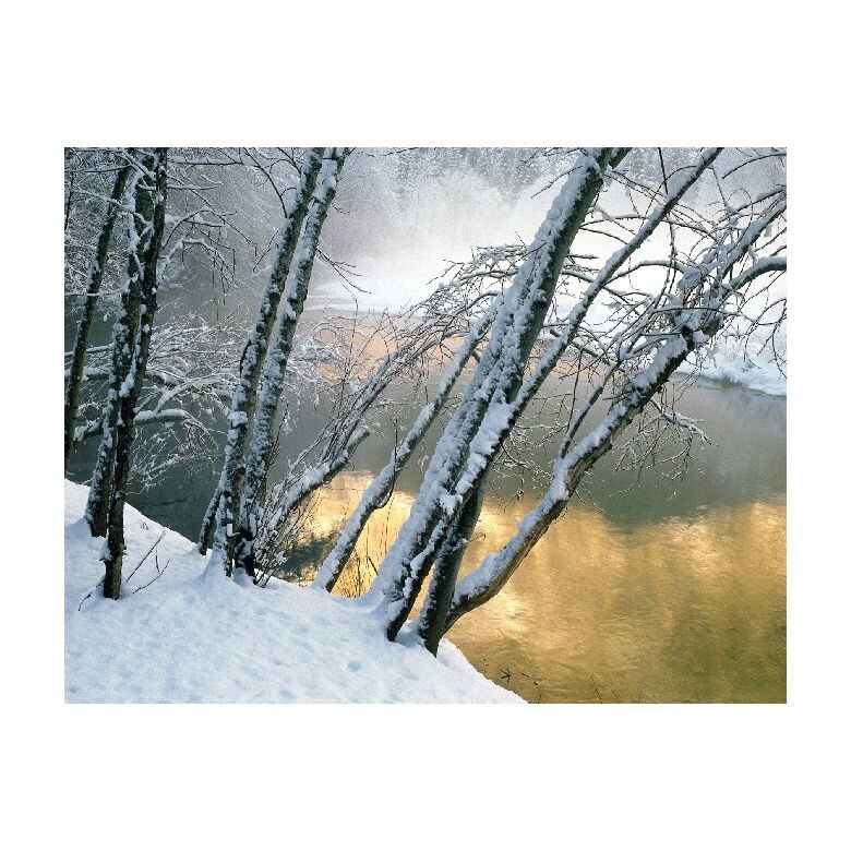 Tablou Canvas Natura, Dimensiunea 100x70 nat680