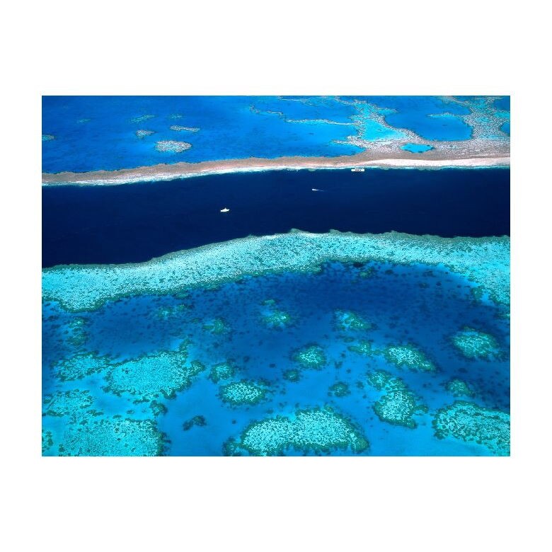 Tablou Canvas Natura, Dimensiunea 100x70 nat746