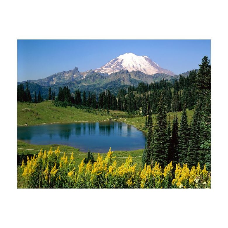 Tablou Canvas Natura, Dimensiunea 100x70 nat684