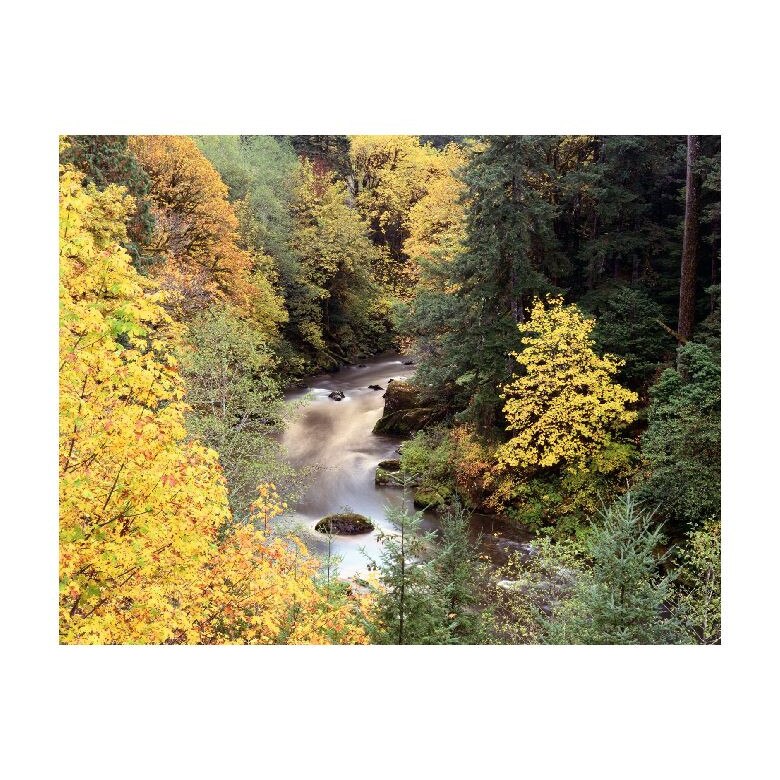 Tablou Canvas Natura, Dimensiunea 100x70 nat720