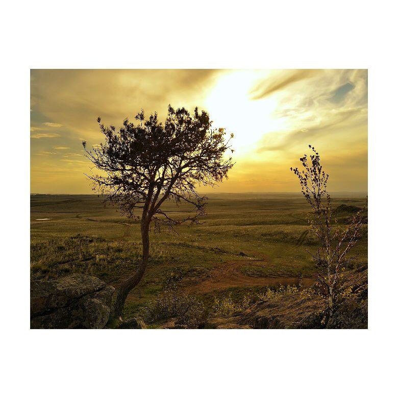 Tablou Canvas Natura, Dimensiunea 100x70 nat632