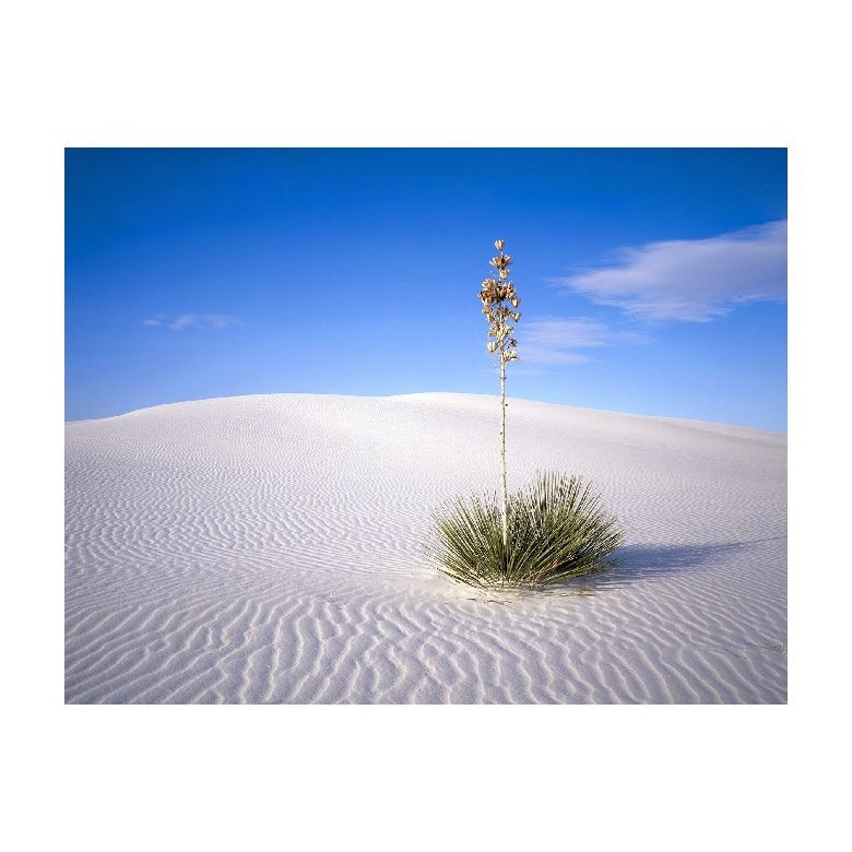 Tablou Canvas Natura, Dimensiunea 100x70 nat666