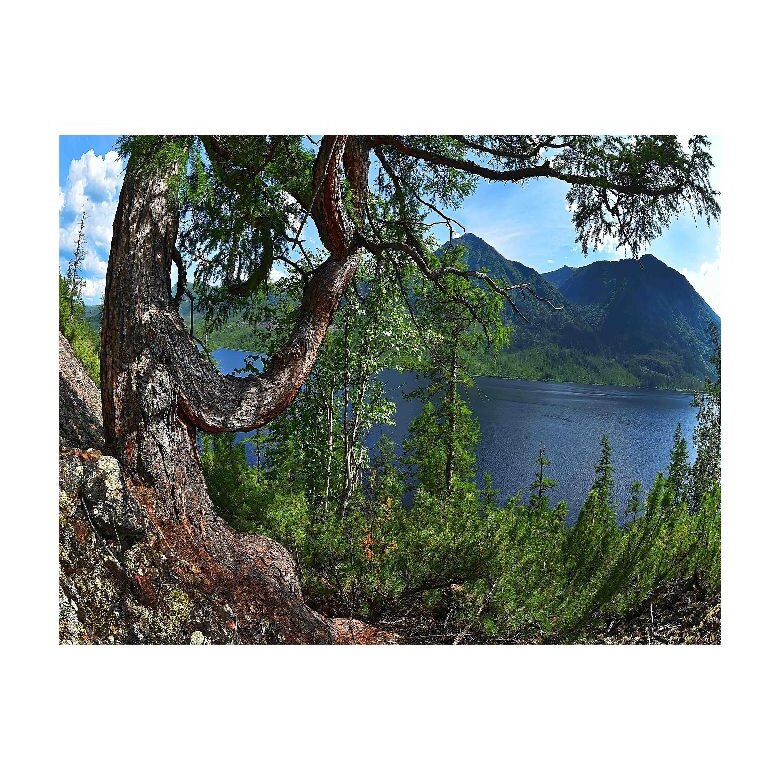 Tablou Canvas Natura, Dimensiunea 100x70 nat636