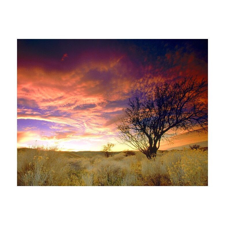 Tablou Canvas Natura, Dimensiunea 100x70 nat682