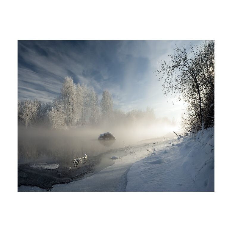 Tablou Canvas Natura, Dimensiunea 100x70 nat642