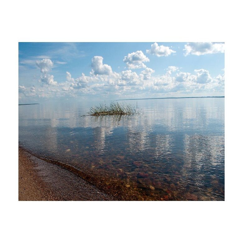 Tablou Canvas Natura, Dimensiunea 100x70 nat614