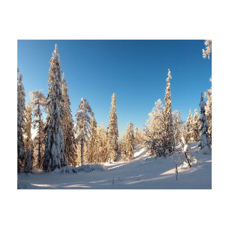 Tablou Canvas Natura, Dimensiunea 100x70 nat640