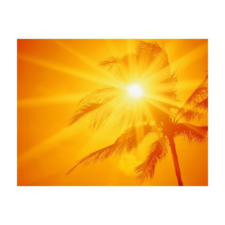 Tablou Canvas Natura, Dimensiunea 100x70 nat677