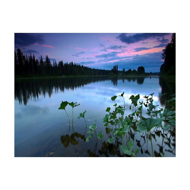 Tablou Canvas Natura, Dimensiunea 100x70 nat659