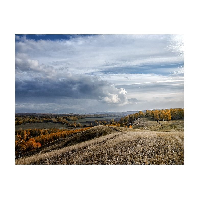 Tablou Canvas Natura, Dimensiunea 100x70 nat602